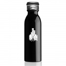 20 oz Stainless Steel Water Bottle