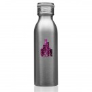 20 oz Stainless Steel Water Bottle