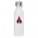 20 oz Stainless Steel Water Bottle