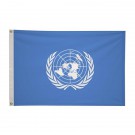 2' x 3'International Flag