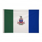 2' x 3'International Flag