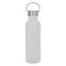 28 OZ. TIPTON STAINLESS STEEL BOTTLE