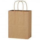 Kraft Paper Brown Shopping Bag - 8