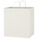 Kraft Paper White Shopping Bag - 14