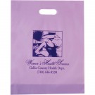 Frosted Plastic Die Cut Bag - Flexo Ink