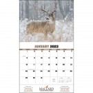 Trophy Whitetail Deer Appointment Calendar