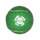 Pet Fetch Toy Tennis Ball