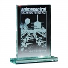 Medium Glass Award